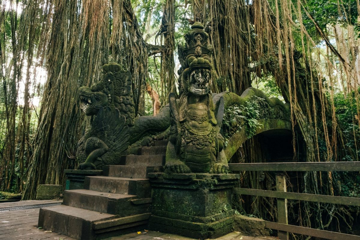 monkey forest